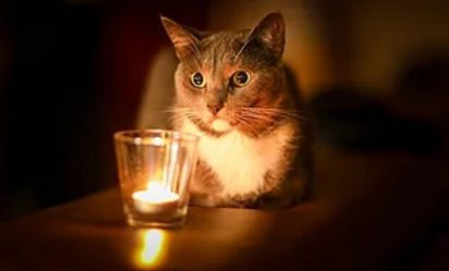 post-31044 thumbnail